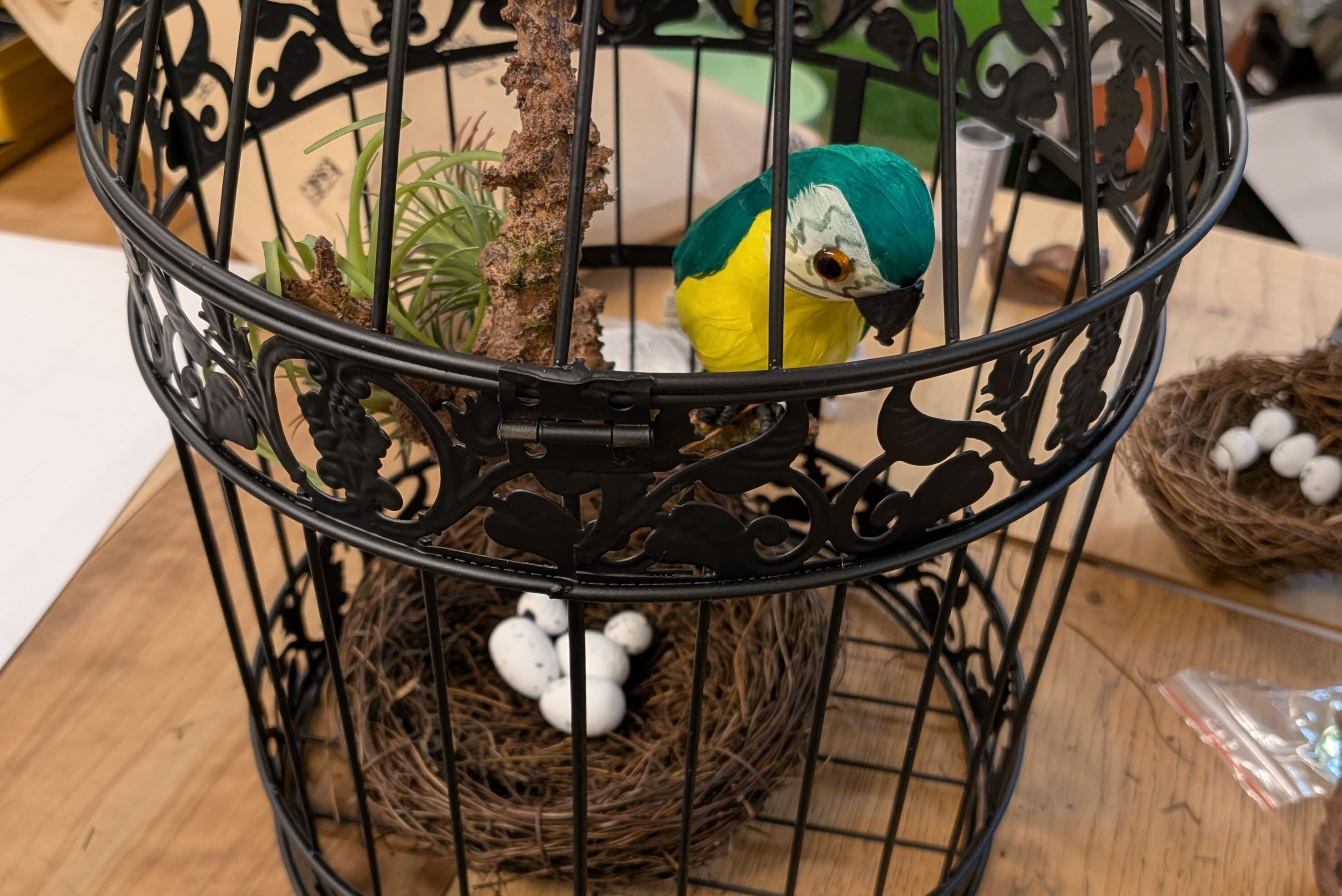 PXL_20260327_125348200