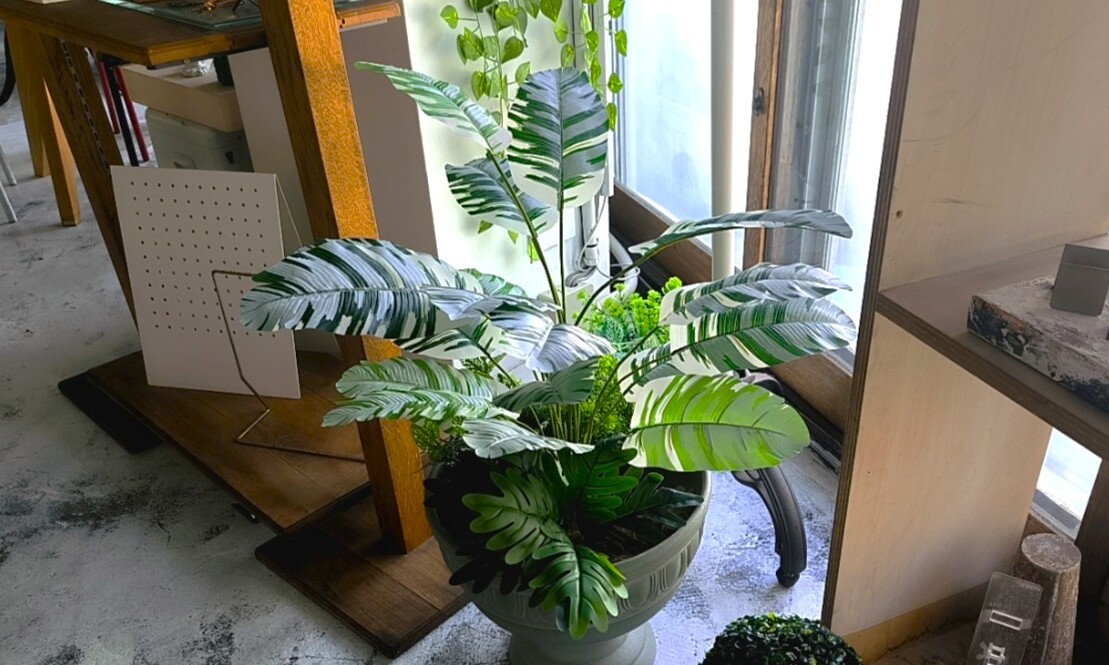 SNOW_20250704_140926_157